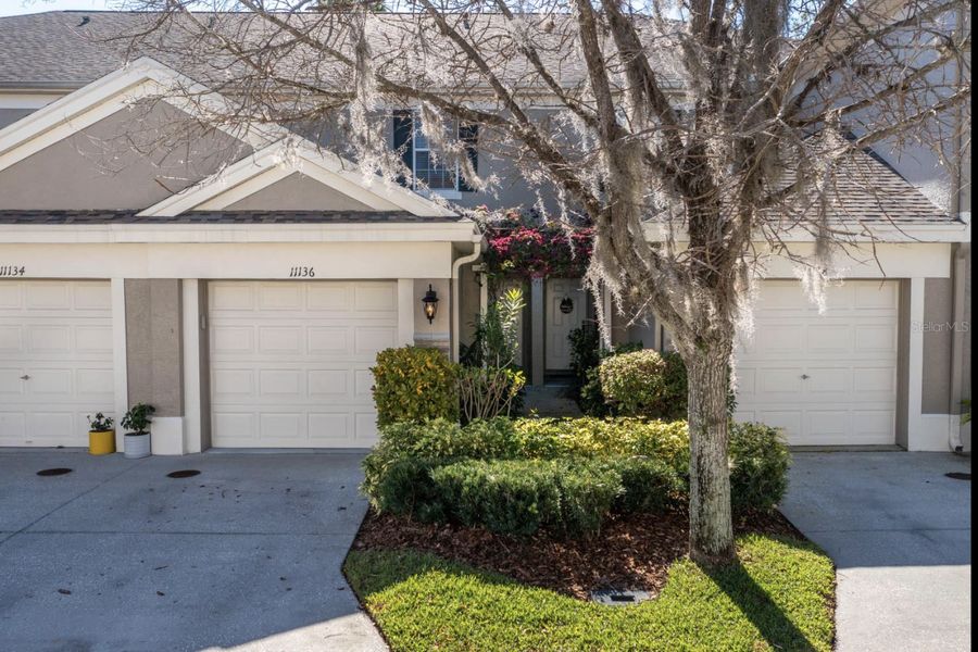 11136 Windsor Place Cir, Tampa, FL